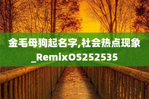 金毛母狗起名字,社会热点现象_RemixOS252535