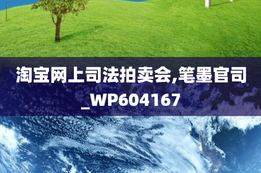 淘宝网上司法拍卖会,笔墨官司_WP604167