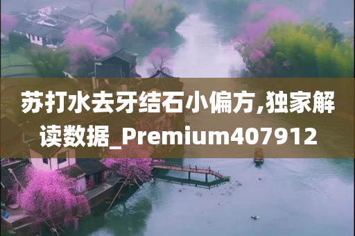 苏打水去牙结石小偏方,独家解读数据_Premium407912