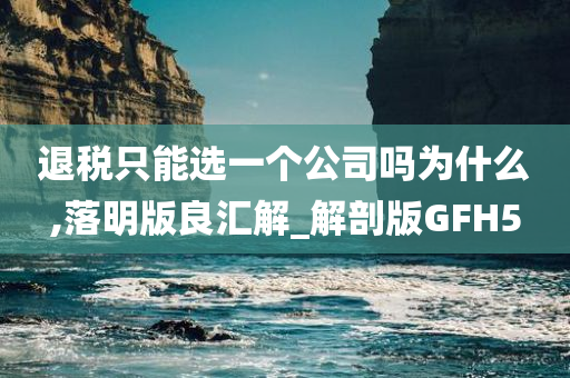 退税只能选一个公司吗为什么,落明版良汇解_解剖版GFH5