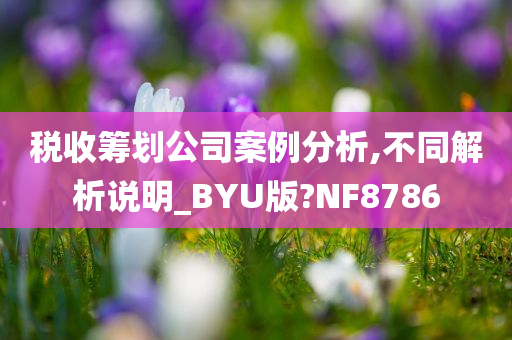 税收筹划公司案例分析,不同解析说明_BYU版?NF8786