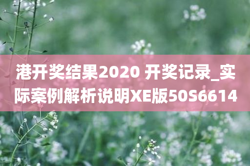 港开奖结果2020 开奖记录_实际案例解析说明XE版50S6614