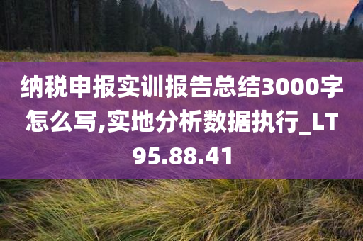 纳税申报实训报告总结3000字怎么写,实地分析数据执行_LT95.88.41