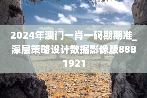 2024年澳门一肖一码期期准_深层策略设计数据影像版88B1921