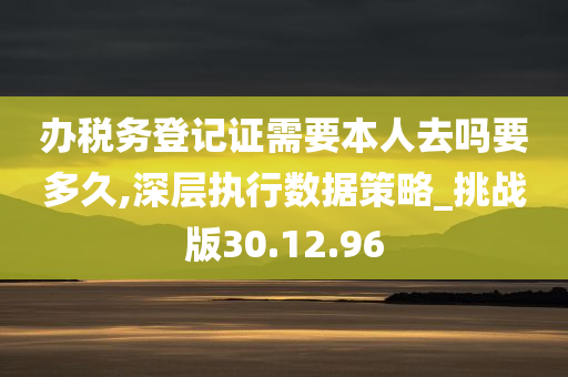 办税务登记证需要本人去吗要多久,深层执行数据策略_挑战版30.12.96