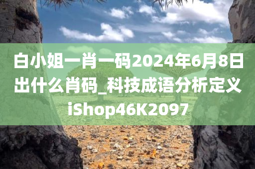 白小姐一肖一码2024年6月8日出什么肖码_科技成语分析定义iShop46K2097