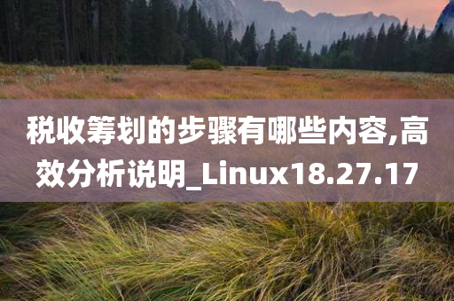 税收筹划的步骤有哪些内容,高效分析说明_Linux18.27.17