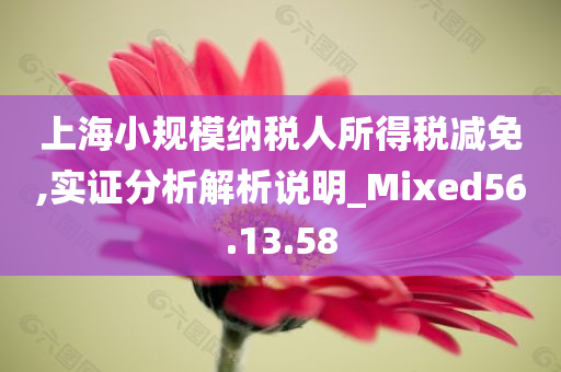 上海小规模纳税人所得税减免,实证分析解析说明_Mixed56.13.58