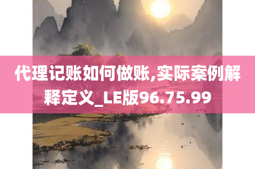 代理记账如何做账,实际案例解释定义_LE版96.75.99