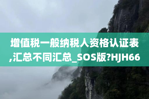 增值税一般纳税人资格认证表,汇总不同汇总_SOS版?HJH66