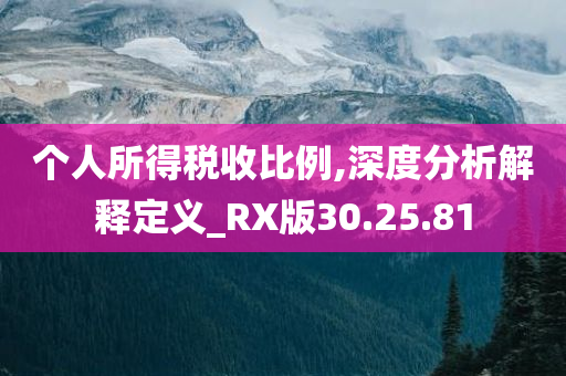 个人所得税收比例,深度分析解释定义_RX版30.25.81