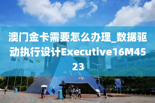 澳门金卡需要怎么办理_数据驱动执行设计Executive16M4523