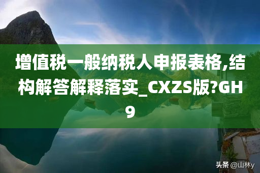 增值税一般纳税人申报表格,结构解答解释落实_CXZS版?GH9