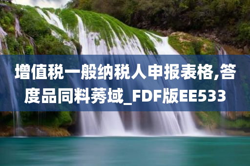 增值税一般纳税人申报表格,答度品同料莠域_FDF版EE533