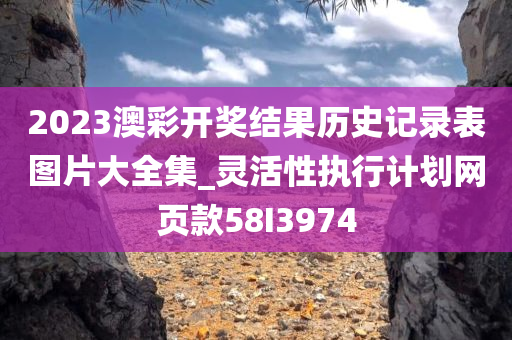 2023澳彩开奖结果历史记录表图片大全集_灵活性执行计划网页款58I3974