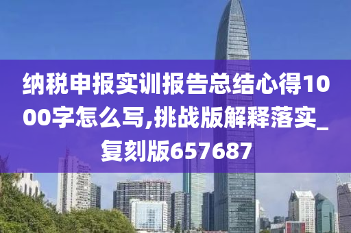 纳税申报实训报告总结心得1000字怎么写,挑战版解释落实_复刻版657687