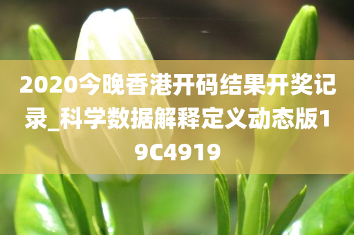 2020今晚香港开码结果开奖记录_科学数据解释定义动态版19C4919