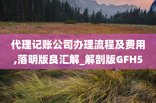 代理记账公司办理流程及费用,落明版良汇解_解剖版GFH5