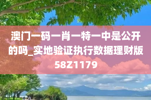 经济 第311页