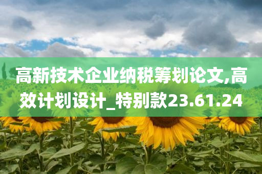 高新技术企业纳税筹划论文,高效计划设计_特别款23.61.24