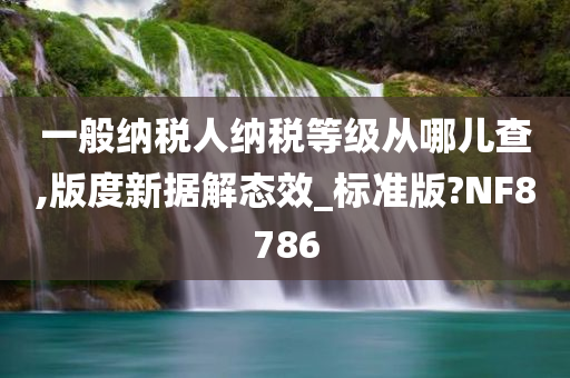 一般纳税人纳税等级从哪儿查,版度新据解态效_标准版?NF8786