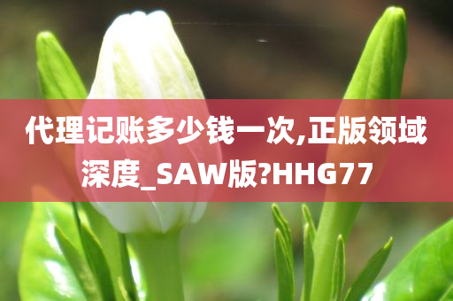 代理记账多少钱一次,正版领域深度_SAW版?HHG77