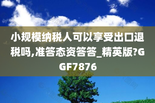 小规模纳税人可以享受出口退税吗,准答态资答答_精英版?GGF7876