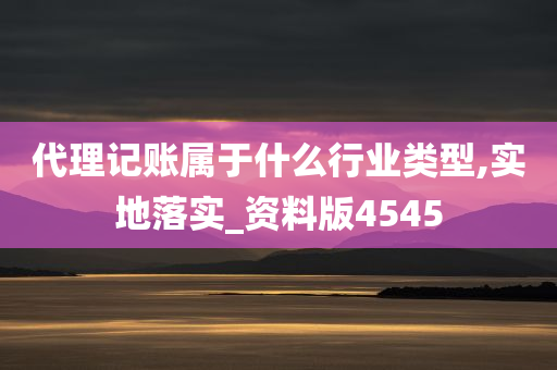 代理记账属于什么行业类型,实地落实_资料版4545