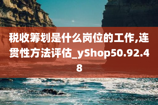 税收筹划是什么岗位的工作,连贯性方法评估_yShop50.92.48