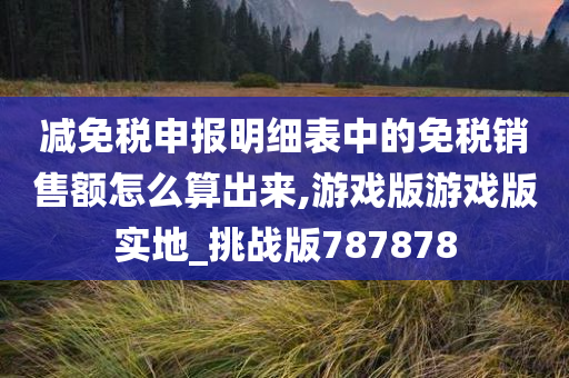 减免税申报明细表中的免税销售额怎么算出来,游戏版游戏版实地_挑战版787878