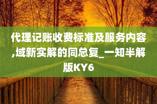 代理记账收费标准及服务内容,域新实解的同总复_一知半解版KY6