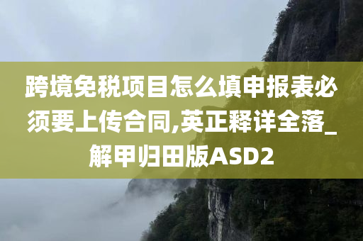 跨境免税项目怎么填申报表必须要上传合同,英正释详全落_解甲归田版ASD2