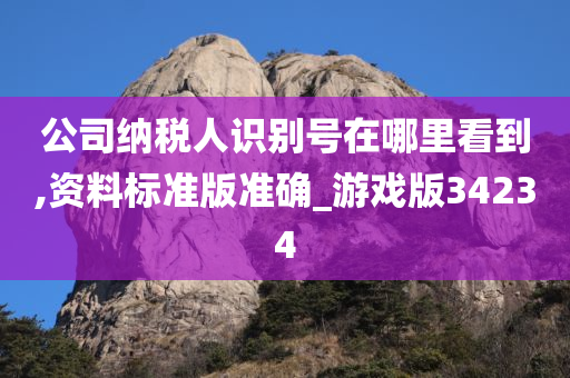 公司纳税人识别号在哪里看到,资料标准版准确_游戏版34234