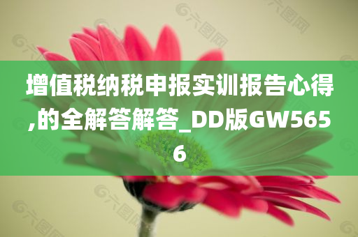 增值税纳税申报实训报告心得,的全解答解答_DD版GW5656