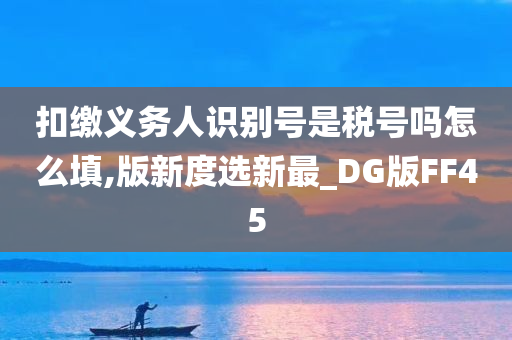 扣缴义务人识别号是税号吗怎么填,版新度选新最_DG版FF45