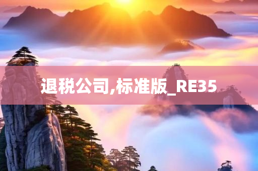 退税公司,标准版_RE35