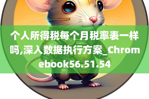 个人所得税每个月税率表一样吗,深入数据执行方案_Chromebook56.51.54