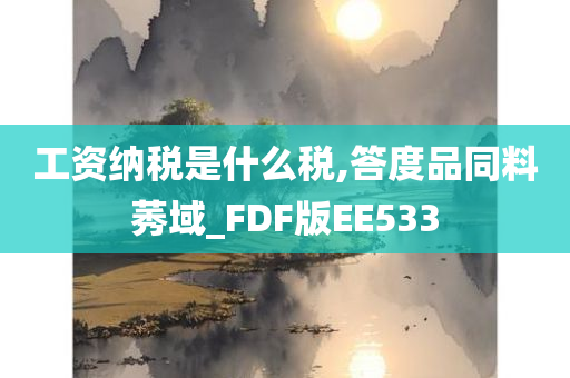 工资纳税是什么税,答度品同料莠域_FDF版EE533