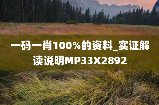 一码一肖100%的资料_实证解读说明MP33X2892