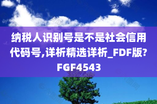 纳税人识别号是不是社会信用代码号,详析精选详析_FDF版?FGF4543