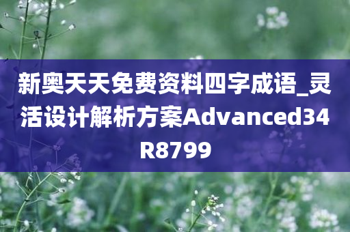 新奥天天免费资料四字成语_灵活设计解析方案Advanced34R8799