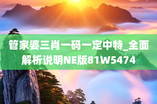 管家婆三肖一码一定中特_全面解析说明NE版81W5474