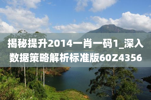 揭秘提升2014一肖一码1_深入数据策略解析标准版60Z4356