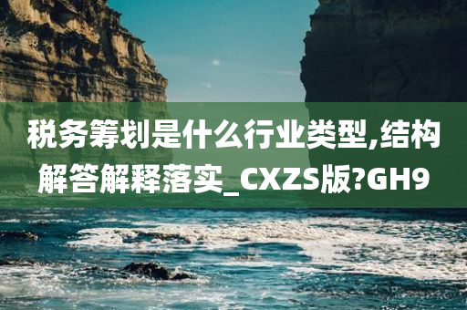 税务筹划是什么行业类型,结构解答解释落实_CXZS版?GH9