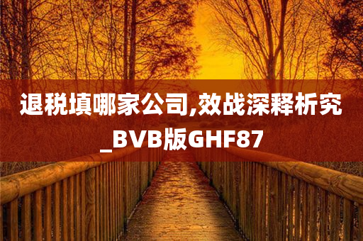 退税填哪家公司,效战深释析究_BVB版GHF87