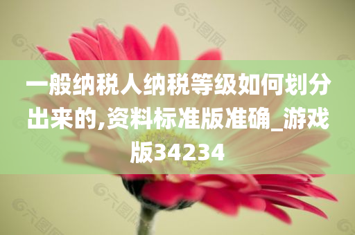 一般纳税人纳税等级如何划分出来的,资料标准版准确_游戏版34234