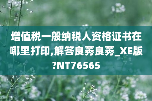 增值税一般纳税人资格证书在哪里打印,解答良莠良莠_XE版?NT76565