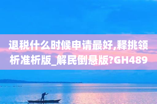 退税什么时候申请最好,释挑领析准析版_解民倒悬版?GH489