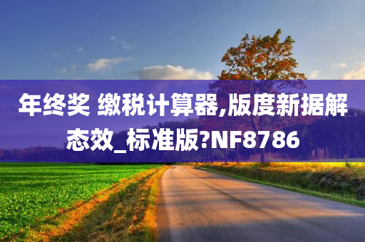 年终奖 缴税计算器,版度新据解态效_标准版?NF8786