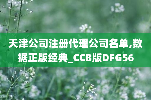 天津公司注册代理公司名单,数据正版经典_CCB版DFG56